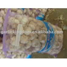 sell 2010 new crop garlic